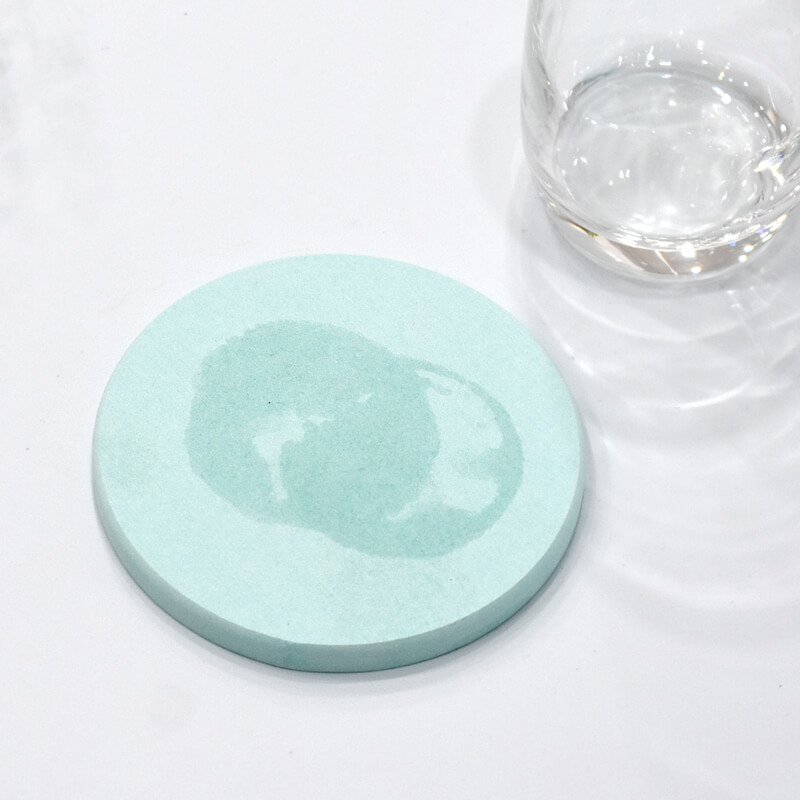 Diatomite Coaster Circle3