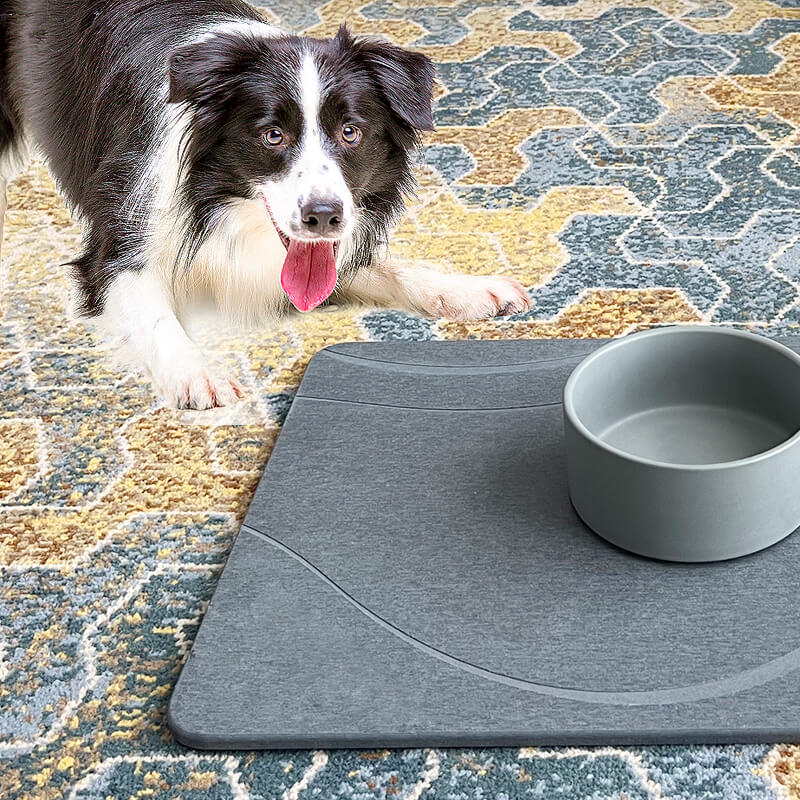 PET Pad