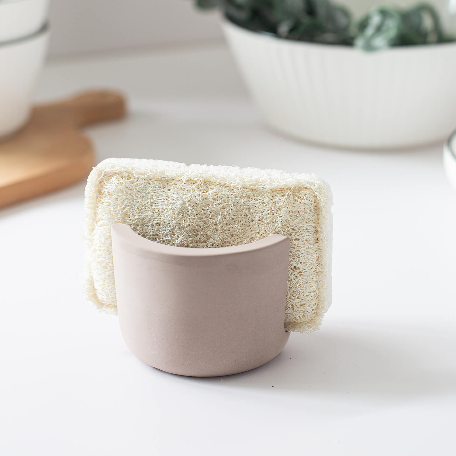 Small sponge holder-11