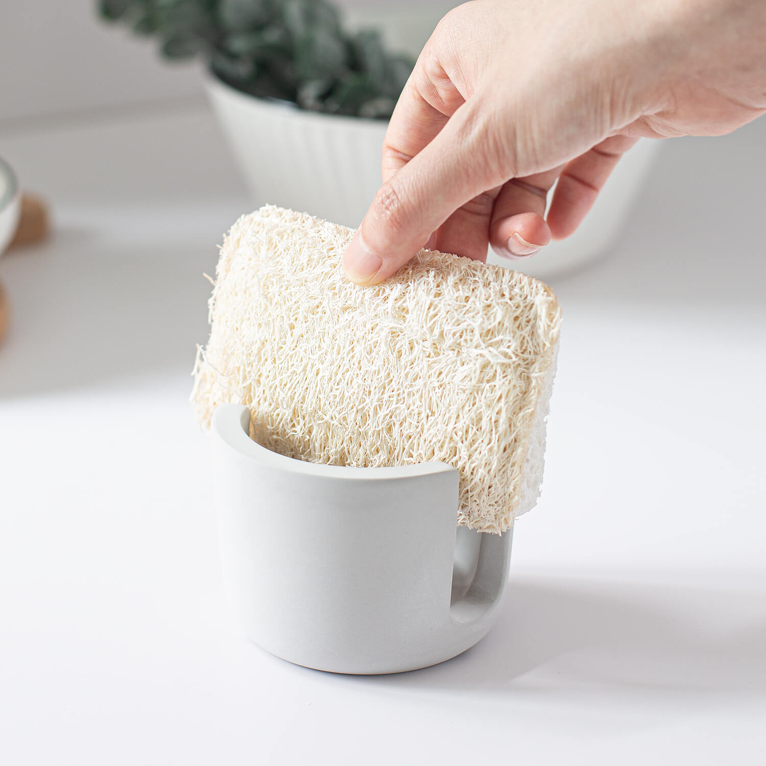 Small sponge holder-8